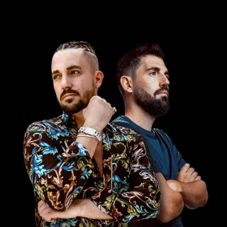 Dimitri Vegas & Like Mike avatar