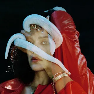 Bat For Lashes avatar