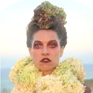 Amanda Palmer avatar