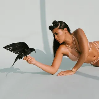 Toni Romiti avatar