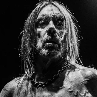 Iggy Pop avatar