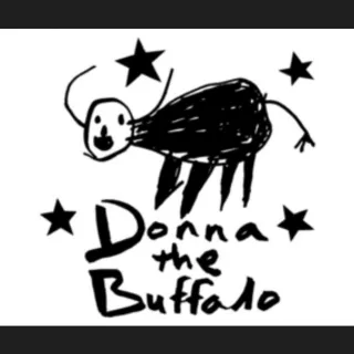 Donna The Buffalo avatar