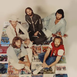 The Beach Boys avatar