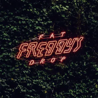 Fat Freddy's Drop avatar