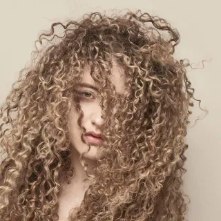 Tal Wilkenfeld avatar