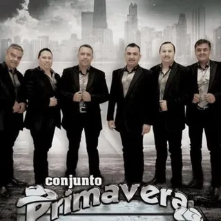 Conjunto Primavera avatar