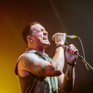 Shannon Noll avatar