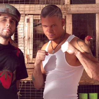 Calle 13 avatar