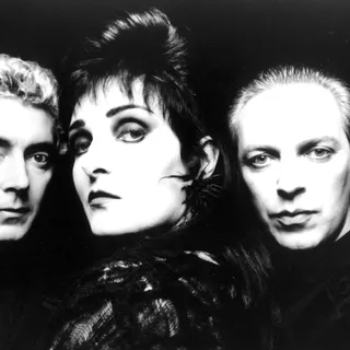 Siouxsie and the Banshees avatar