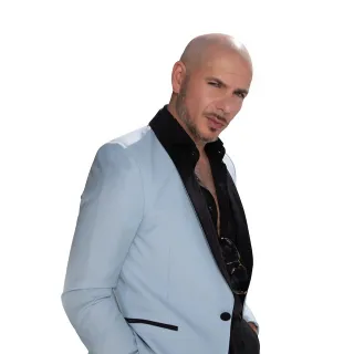 Pitbull avatar