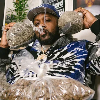 Smoke DZA avatar