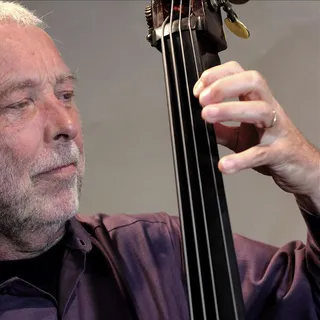 Dave Holland avatar