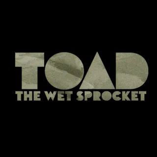 Toad The Wet Sprocket avatar