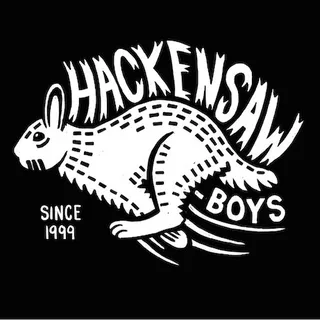 Hackensaw Boys avatar